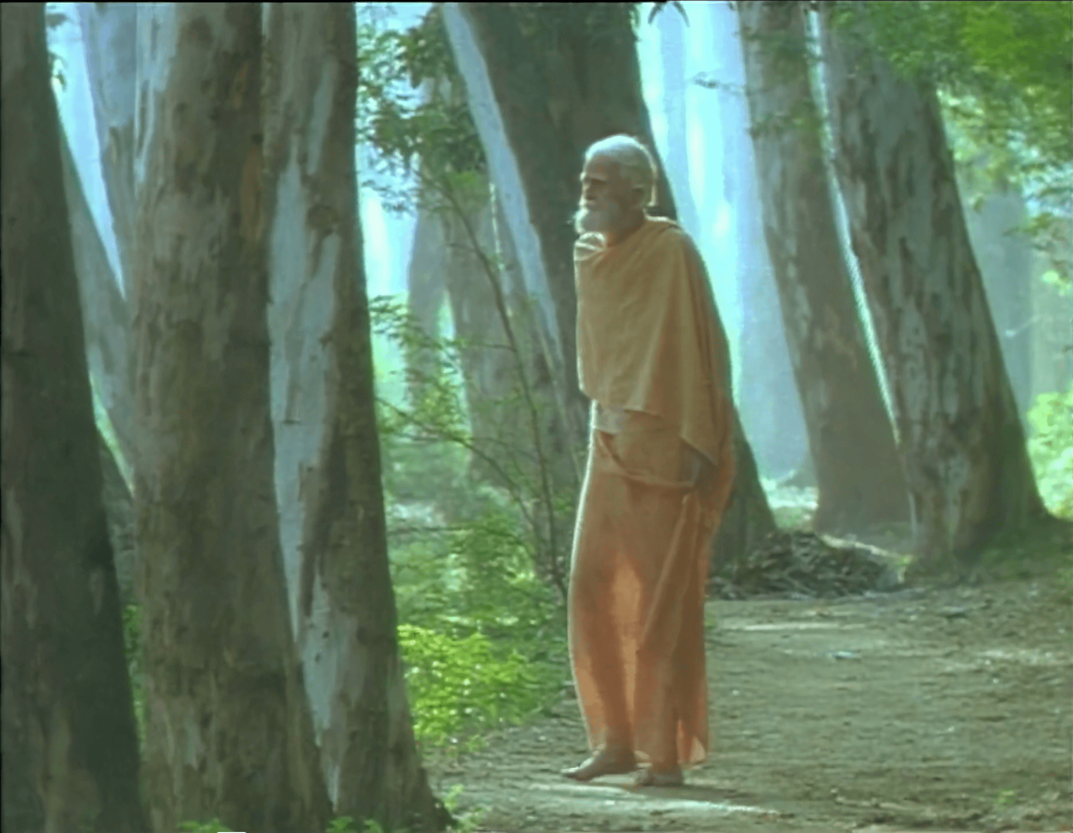Fr Bede in forest